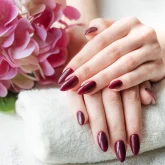 hands-of-a-young-woman-with-dark-red-manicure-on-n-2024-12-07-17-39-40-utc hands-of-a-young-woman-with-dark-red-manicure-on-n-2024-12-07-17-39-40-utc